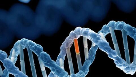 Viêm khớp có di truyền không?